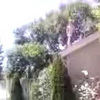 cballrios